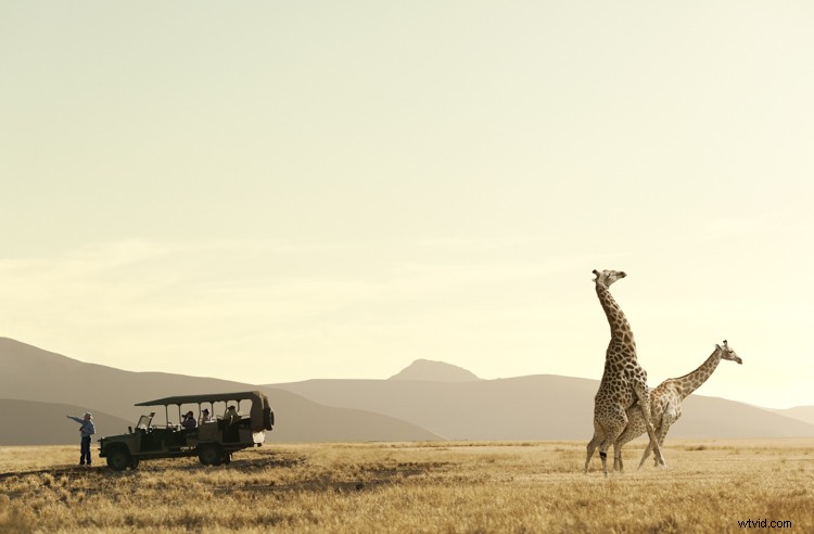 Discover Zack Seckler s Photography: Blending Humor and Unique Style