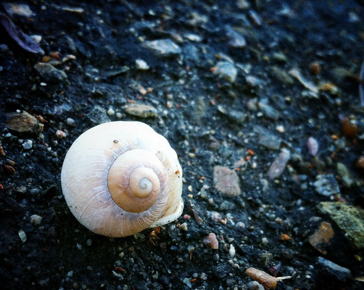 Unlocking Beauty in the Mundane: Photography Tips for Everyday Subjects