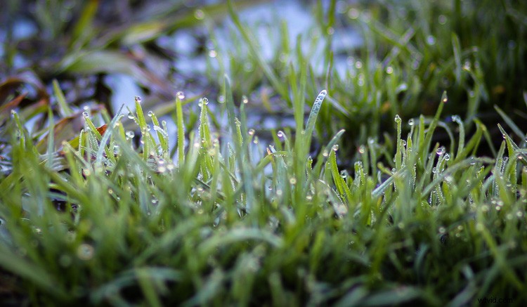 Unlocking Beauty in the Mundane: Photography Tips for Everyday Subjects