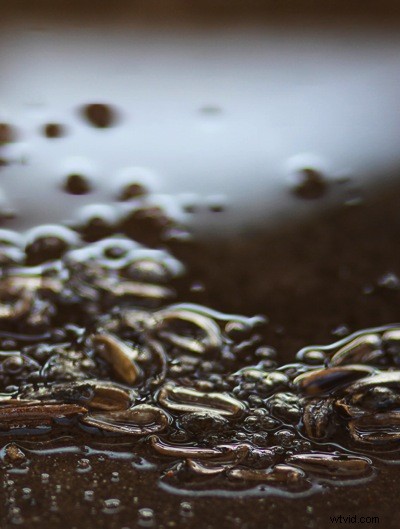 Unlocking Beauty in the Mundane: Photography Tips for Everyday Subjects