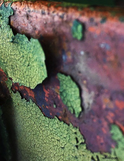 Unlocking Beauty in the Mundane: Photography Tips for Everyday Subjects