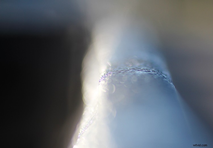 Unlocking Beauty in the Mundane: Photography Tips for Everyday Subjects