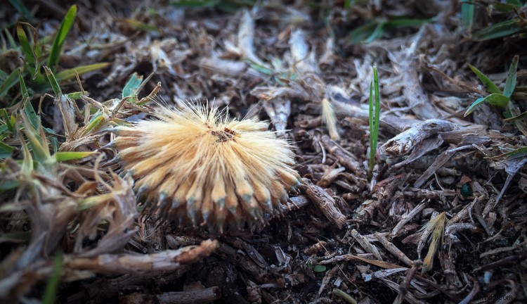 Unlocking Beauty in the Mundane: Photography Tips for Everyday Subjects