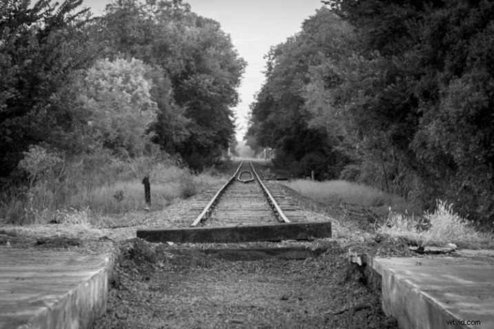 12-Bit vs 14-Bit RAW: Which Bit Depth is Best for Your Photos?