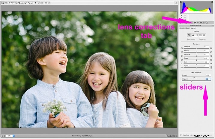 Master Vignettes: 4 Quick Post-Processing Techniques for Stunning Images