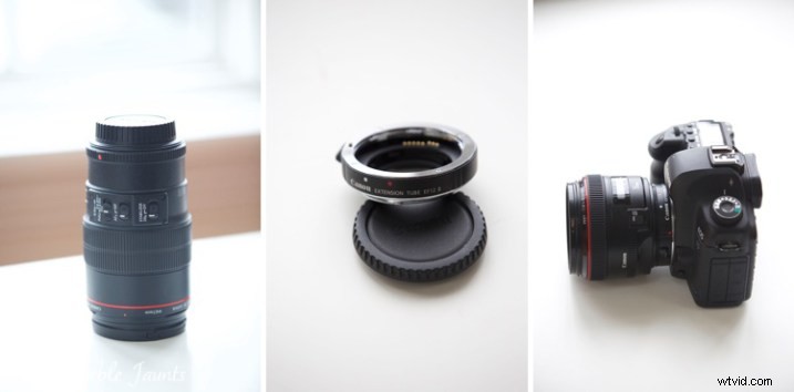 Master Macro Photography: Quick Essential Guide for Stunning Close-Ups