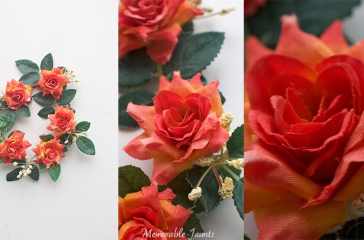 Master Macro Photography: Quick Essential Guide for Stunning Close-Ups