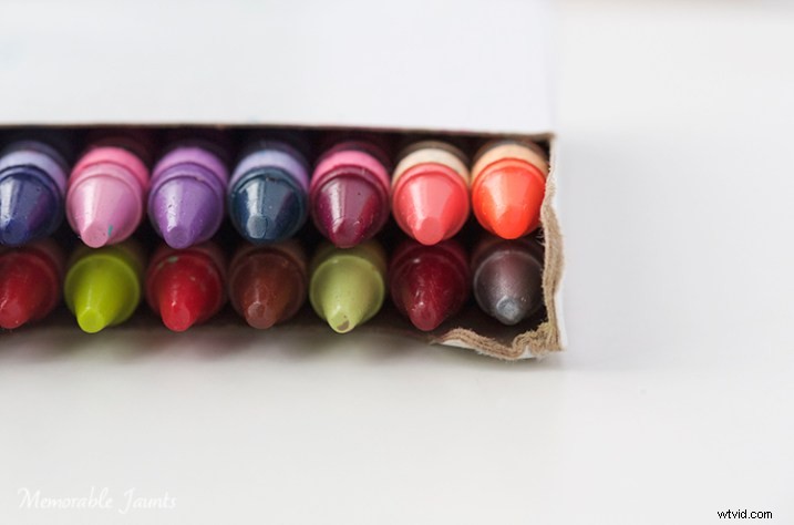 Master Macro Photography: Quick Essential Guide for Stunning Close-Ups