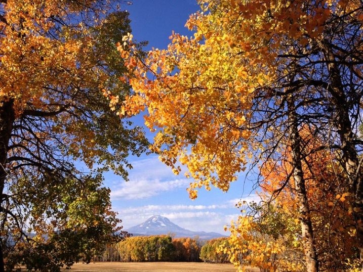 4 Proven Steps to Craft Images with Meaningful Composition