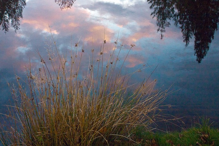 4 Proven Steps to Craft Images with Meaningful Composition