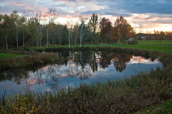 4 Proven Steps to Craft Images with Meaningful Composition