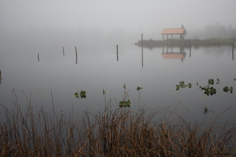 4 Proven Steps to Craft Images with Meaningful Composition