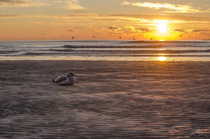 Ultimate Guide: How to Size Images for Optimal Online Sharing