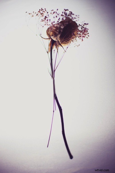 Create Stunning Dynamic Images Using Just One LED Light: Pro Tutorial