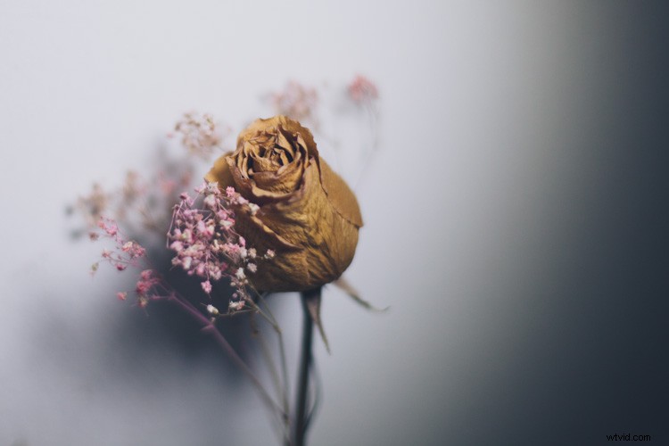 Create Stunning Dynamic Images Using Just One LED Light: Pro Tutorial