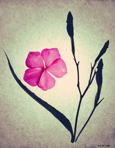 Create Stunning Dynamic Images Using Just One LED Light: Pro Tutorial