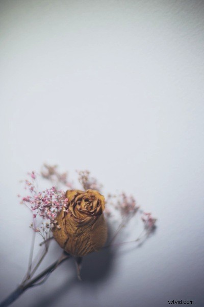 Create Stunning Dynamic Images Using Just One LED Light: Pro Tutorial