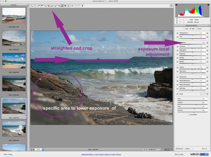 5 Essential Beginner Steps for Batch Processing in Adobe Bridge
