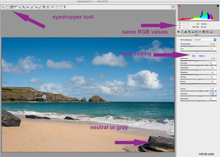 5 Essential Beginner Steps for Batch Processing in Adobe Bridge