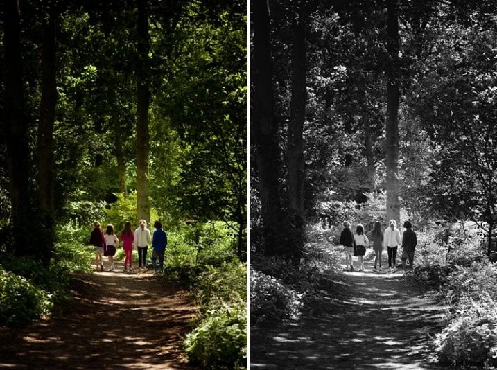 5 Compelling Reasons to Convert Your Photos to Black and White for Stunning Results