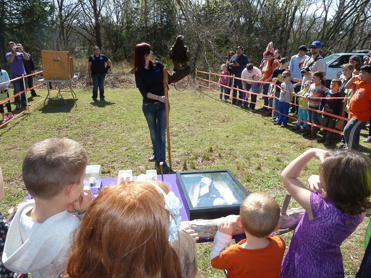 Create Stunning Blurry Bokeh Backgrounds in 4 Easy Steps