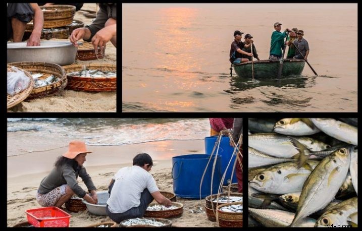 5 Expert Steps to Transform Digital Photos into Stunning Printed Wall Art