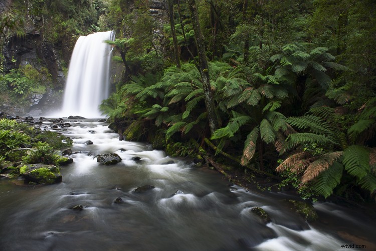 4 Steps to Decode Images Like a Pro: Analyze and Replicate Stunning Results