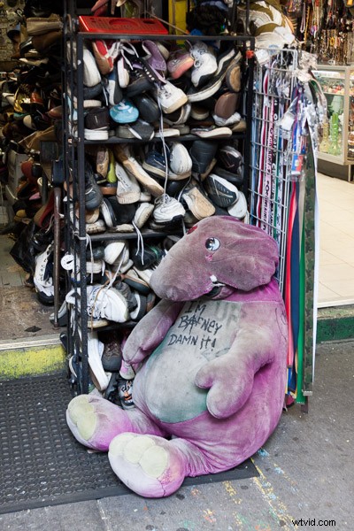 11 Essential Stages Every Photographer Experiences: A Relatable Journey