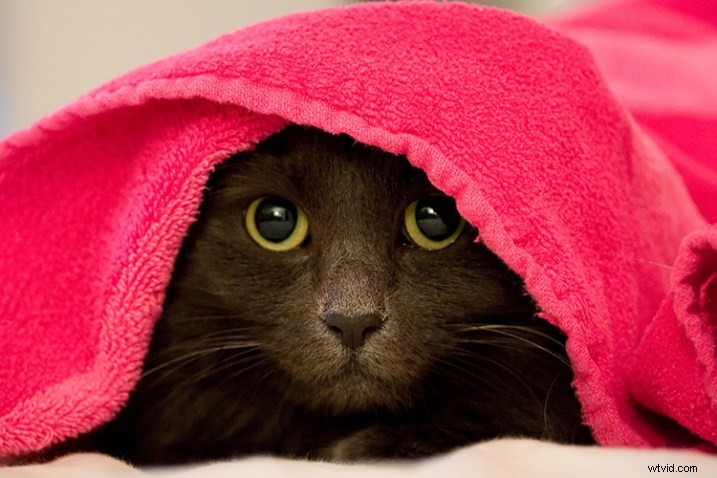 11 Essential Stages Every Photographer Experiences: A Relatable Journey