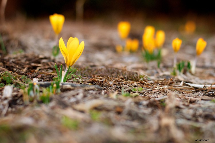 Obsessed with Wide Apertures? Why Holding Back Improves Your Photography