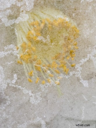 Master In-Camera Double Exposures: Pro Tips for Stunning Results