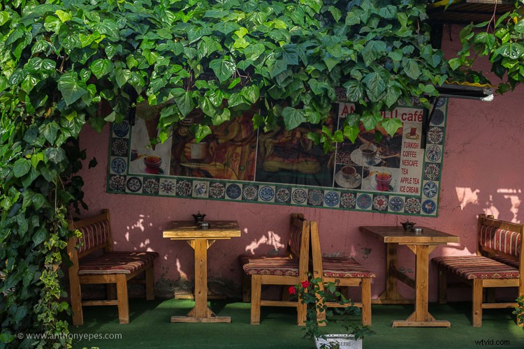 Master Natural Framing: Expert Tips to Elevate Your Photography Composition