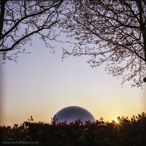 Master Natural Framing: Expert Tips to Elevate Your Photography Composition