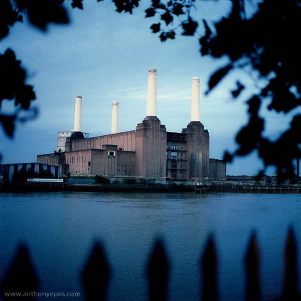 Master Natural Framing: Expert Tips to Elevate Your Photography Composition