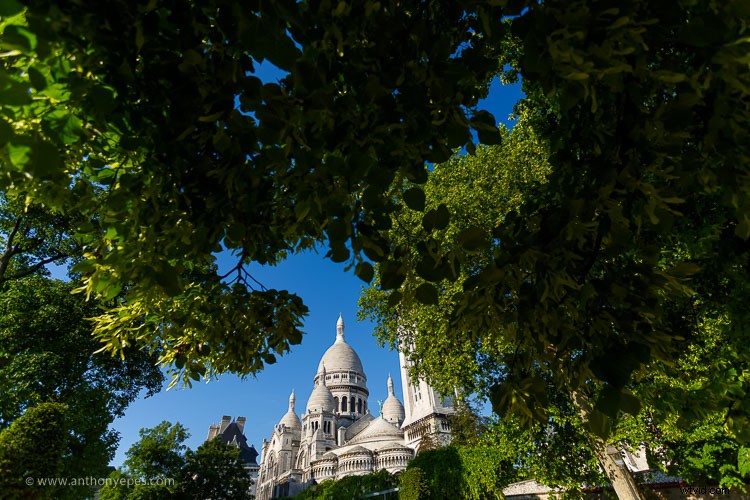 Master Natural Framing: Expert Tips to Elevate Your Photography Composition