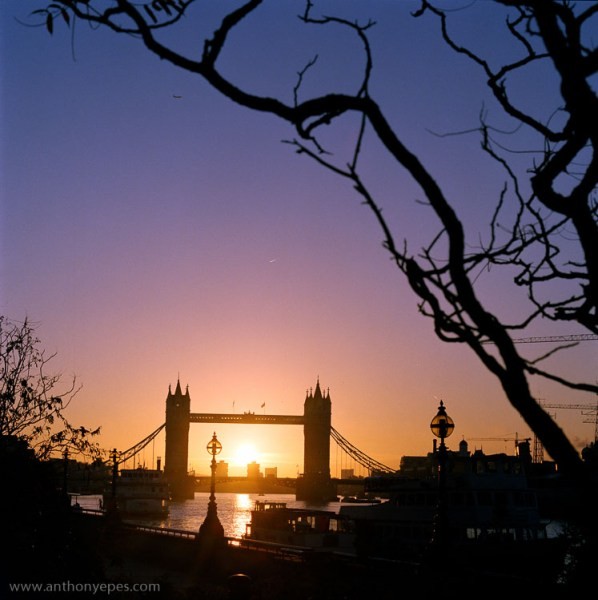 Master Natural Framing: Expert Tips to Elevate Your Photography Composition