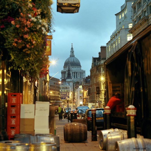 Master Natural Framing: Expert Tips to Elevate Your Photography Composition