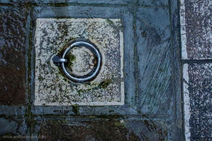 Master Natural Framing: Expert Tips to Elevate Your Photography Composition