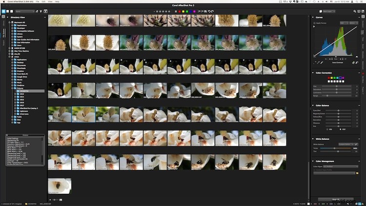 Corel AfterShot Pro 3 Review: Powerful RAW Photo Editing for Professionals
