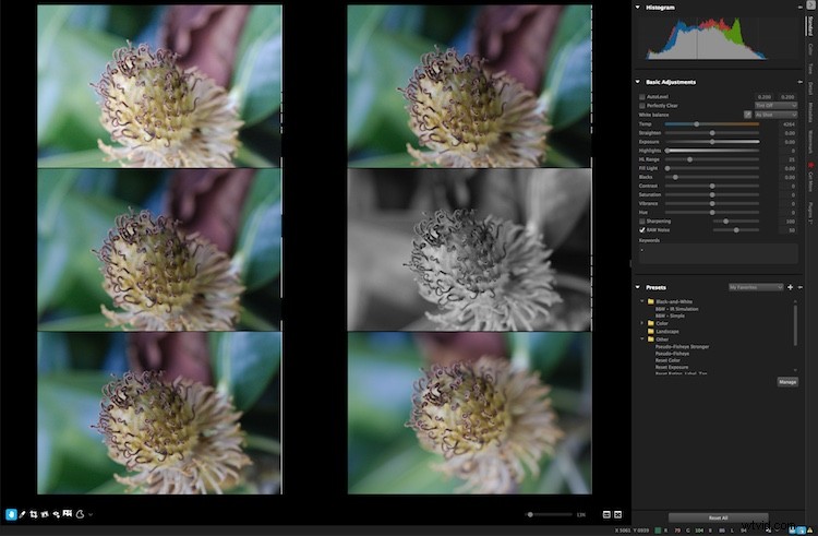 Corel AfterShot Pro 3 Review: Powerful RAW Photo Editing for Professionals