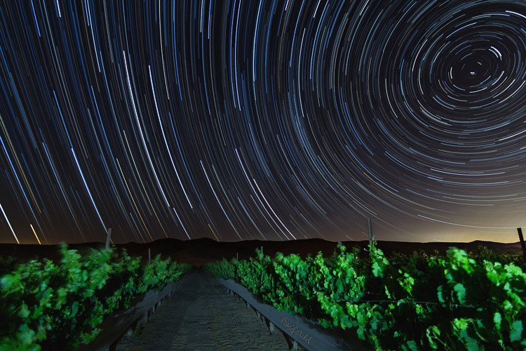 Master Star Trails Photography: Essential Tips for Stunning Night Sky Shots