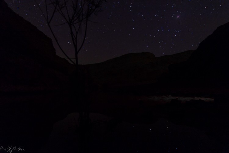 Master Star Trails Photography: Essential Tips for Stunning Night Sky Shots