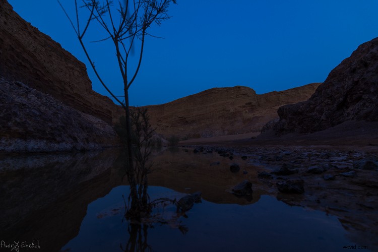 Master Star Trails Photography: Essential Tips for Stunning Night Sky Shots