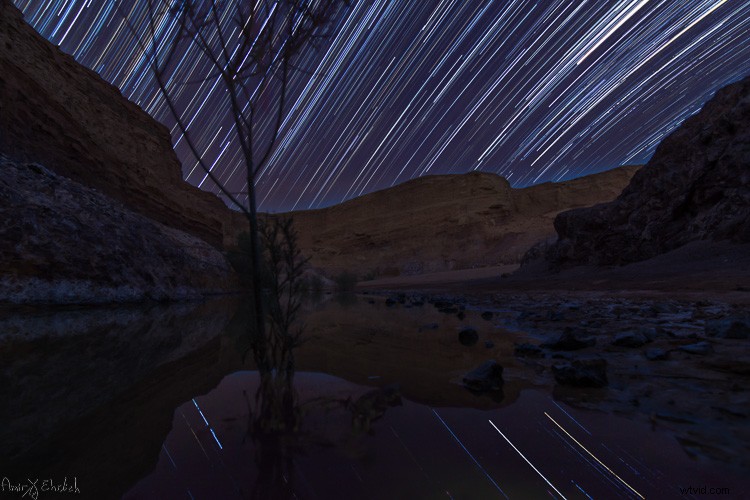 Master Star Trails Photography: Essential Tips for Stunning Night Sky Shots