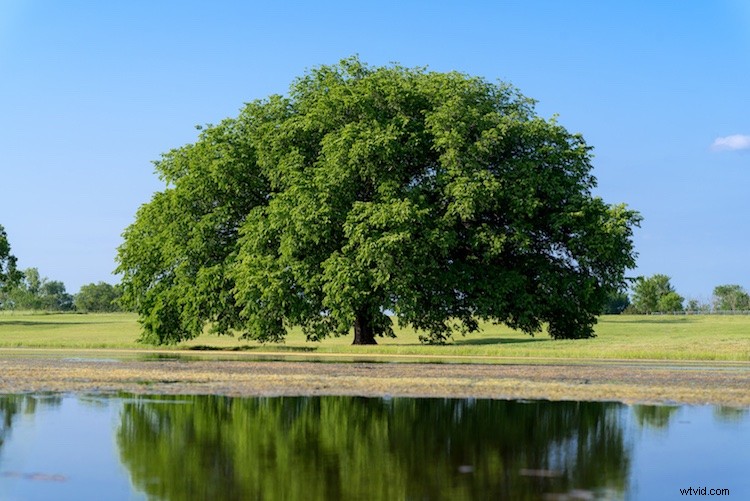 Master Bracketing for Perfect Shots: 3 Proven Photography Methods