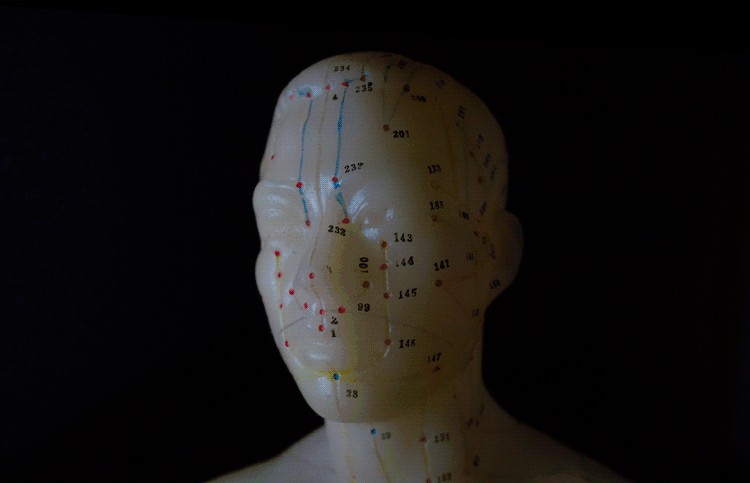 Transform Your iPad into a Pro Softbox or Custom Background: Photography Guide