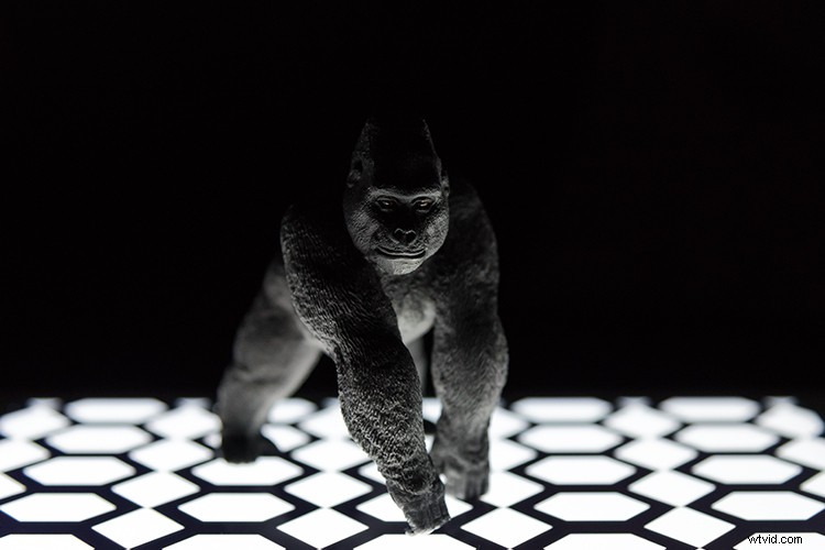 Transform Your iPad into a Pro Softbox or Custom Background: Photography Guide