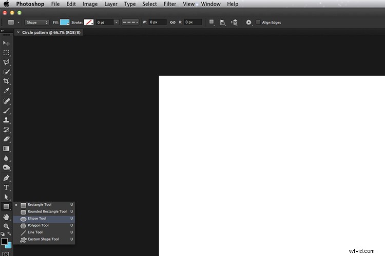 Transform Your iPad into a Pro Softbox or Custom Background: Photography Guide