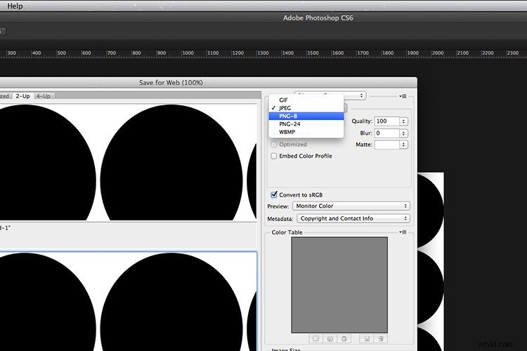 Transform Your iPad into a Pro Softbox or Custom Background: Photography Guide