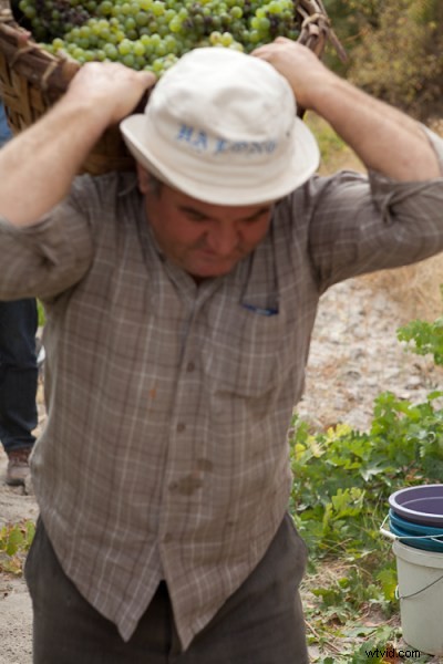 Top Common Photography Mistakes Beginners Make & How to Avoid Them